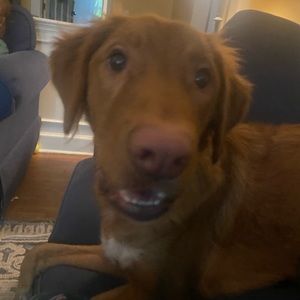 Meet your Posher, Chris